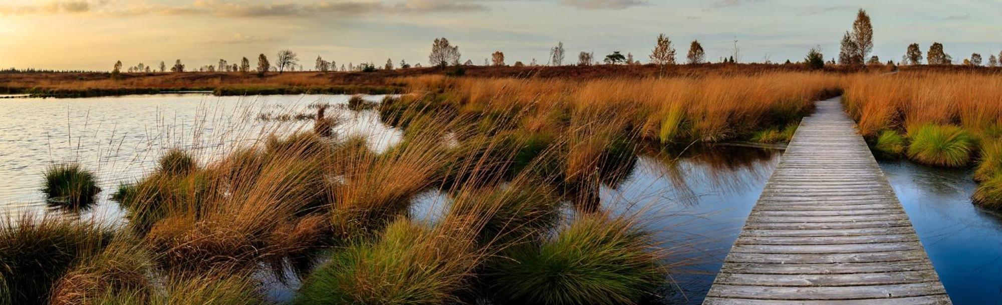 Holiday Inn Express Pascagoula-Moss Point By Ihg Exteriér fotografie